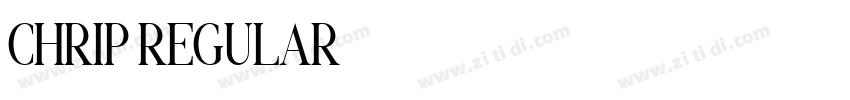 CHRIP REGULAR字体转换